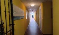 Bestaande bouw - Appartement - Rafal