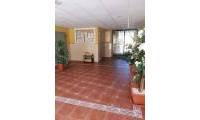 Bestaande bouw - Appartement - Rafal