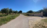 Bestaande bouw - Finca - Sax