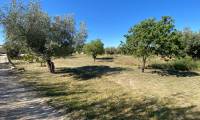 Bestaande bouw - Finca - Sax