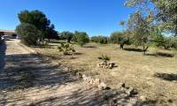 Bestaande bouw - Finca - Sax
