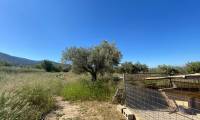 Bestaande bouw - Finca - Sax