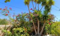 Bestaande bouw - Villa - Abanilla - 