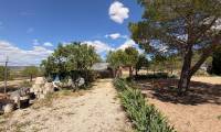 Bestaande bouw - Villa - Yecla - 