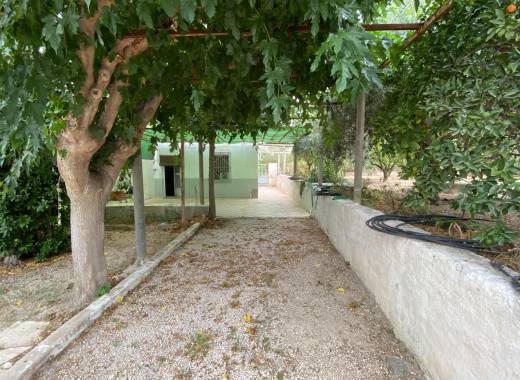 Casa de campo - Venta - Petrer - Petrer