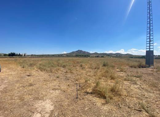 Land te koop - Bestaande bouw - Salinas - T23062