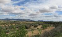 Resale - Cave House - Pinoso