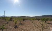 Resale - Finca - Cañada Del Trigo