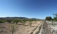 Resale - Finca - Cañada Del Trigo