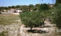 Resale - Finca - Ontinyent