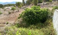 Resale - Finca/Rustic Property - Elda