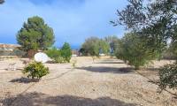 Resale - Finca/Rustic Property - Monóvar