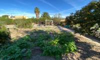 Resale - Finca/Rustic Property - Sax