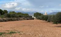Resale - Finca/Rustic Property - Sax