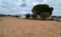 Resale - Finca/Rustic Property - Sax