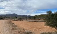 Resale - Finca/Rustic Property - Sax