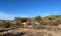 Resale - Finca/Rustic Property - Sax