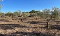 Resale - Finca/Rustic Property - Sax