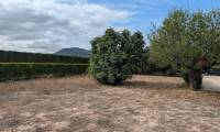Resale - Finca/Rustic Property - Sax