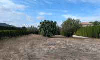 Resale - Finca/Rustic Property - Sax