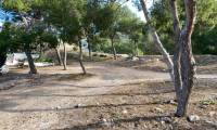 Resale - Finca/Rustic Property - Villena