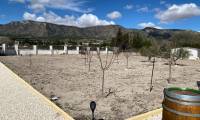 Resale - Finca - Salinas