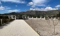 Resale - Finca - Salinas