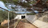 Resale - Finca - Sax