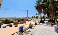 Resale - Villa - Aspe