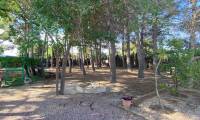 Resale - Villa - Salinas