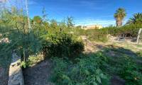 Venta - Finca - Sax