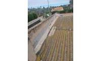 Venta - Finca - Sax