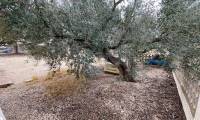 Venta - Finca - Sax