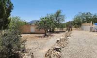 Venta - Villa - Sax