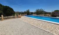 Venta - Villa - Sax