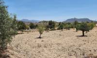 Venta - Villa - Sax