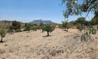 Venta - Villa - Sax