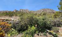 Venta - Villa - Sax