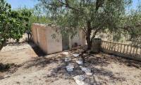 Venta - Villa - Sax
