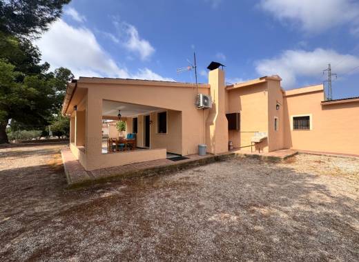 Villa - Bestaande bouw - Monóvar - 3201 DNV0587