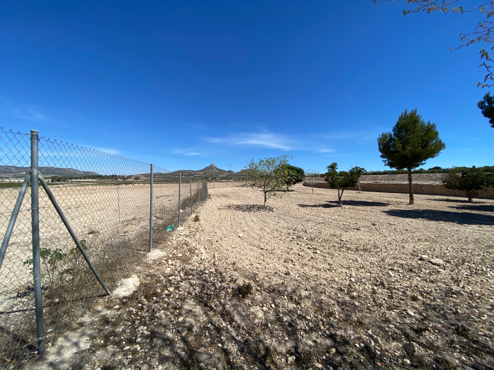 Finca met 5 Slaapkamers in Salinas, Alicante met Groot Perceel