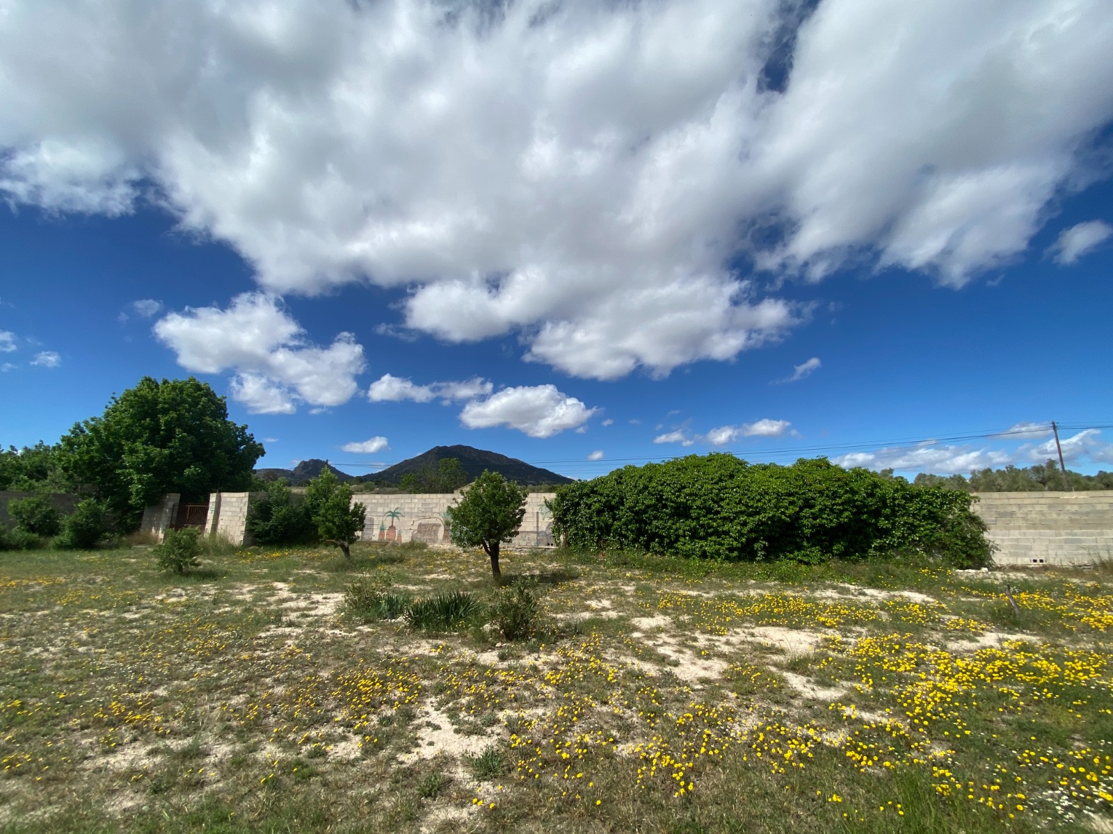Finca met 6 Slaapkamers en Zwembad in Sax, Alicante
