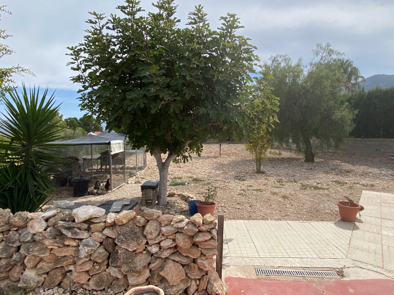 Villa, 5 slaapkamers, Sax, Alicante met zwembad