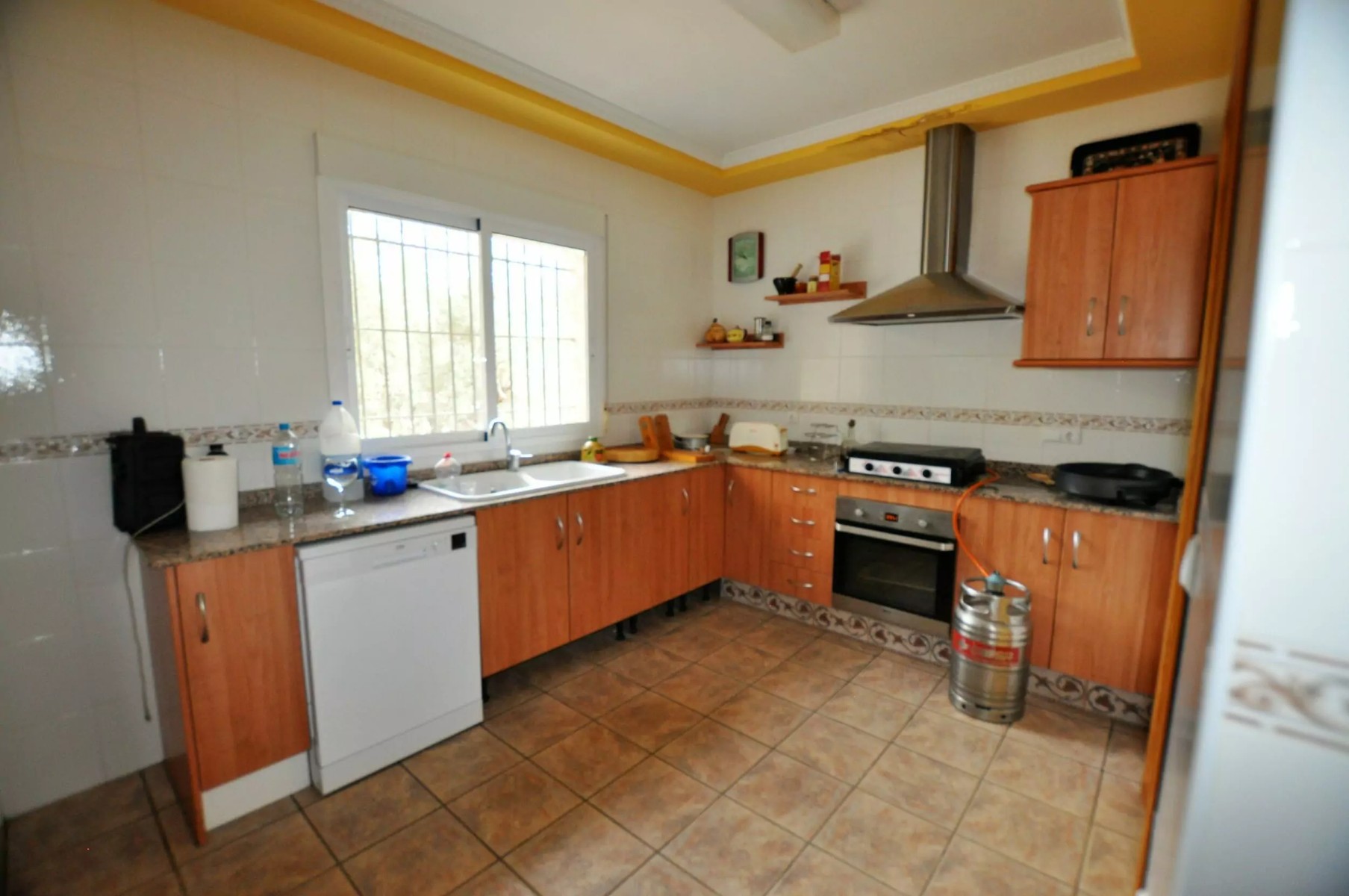 Villa with 3 Bedrooms in Salinas, Alicante on a Large Plot