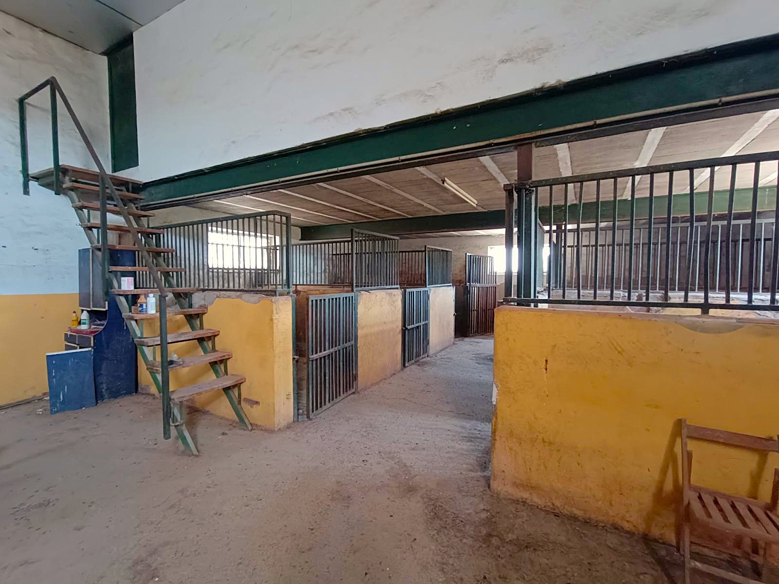 Finca 6 Slaapkamers Monóvar Alicante met Uitgebreide Paardenfaciliteiten