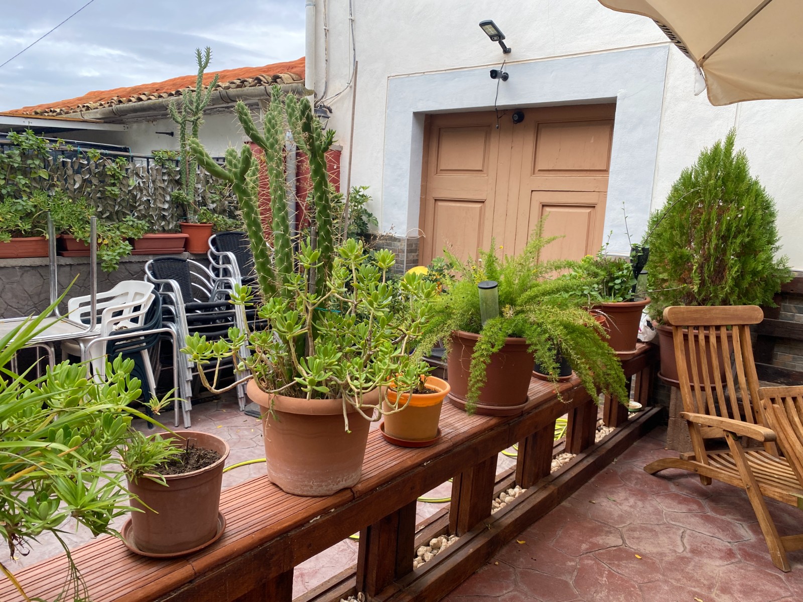 Ruime Finca met 7 Slaapkamers en 2 Badkamers in Sax, Groot Perceel