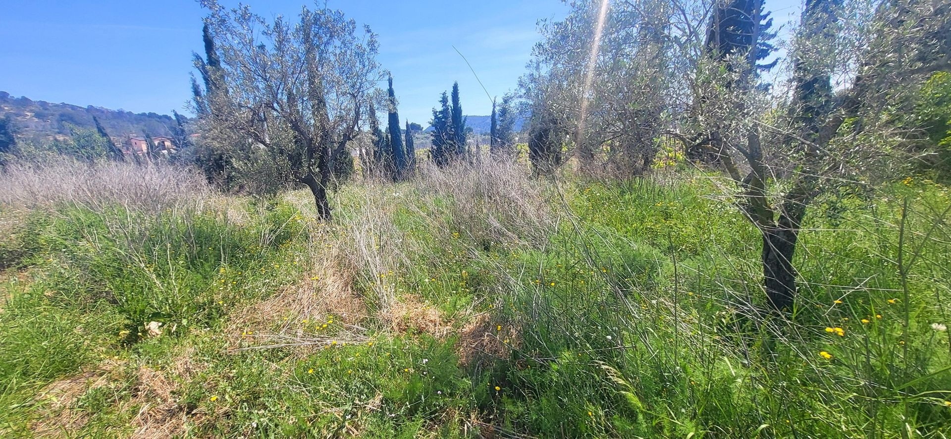 ASV8562G: Villa  in La Romana