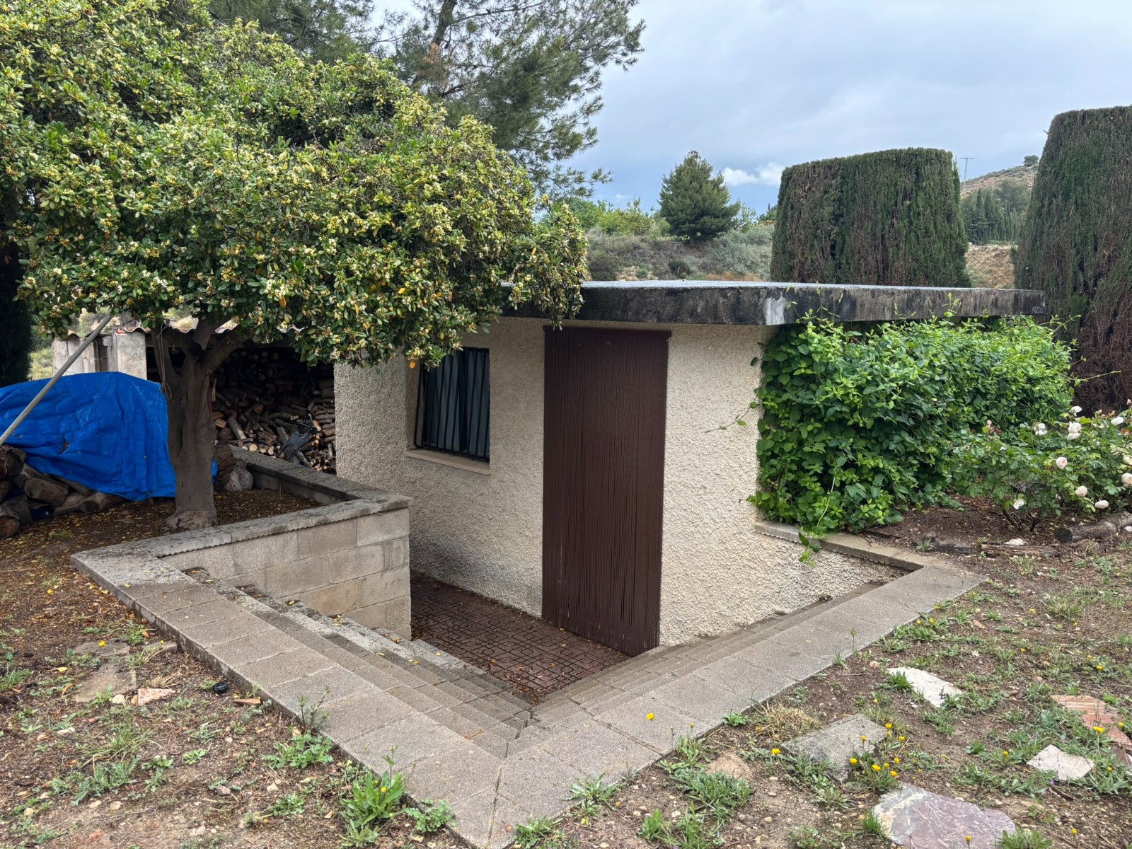 ASV5905R: Villa  in Petrer