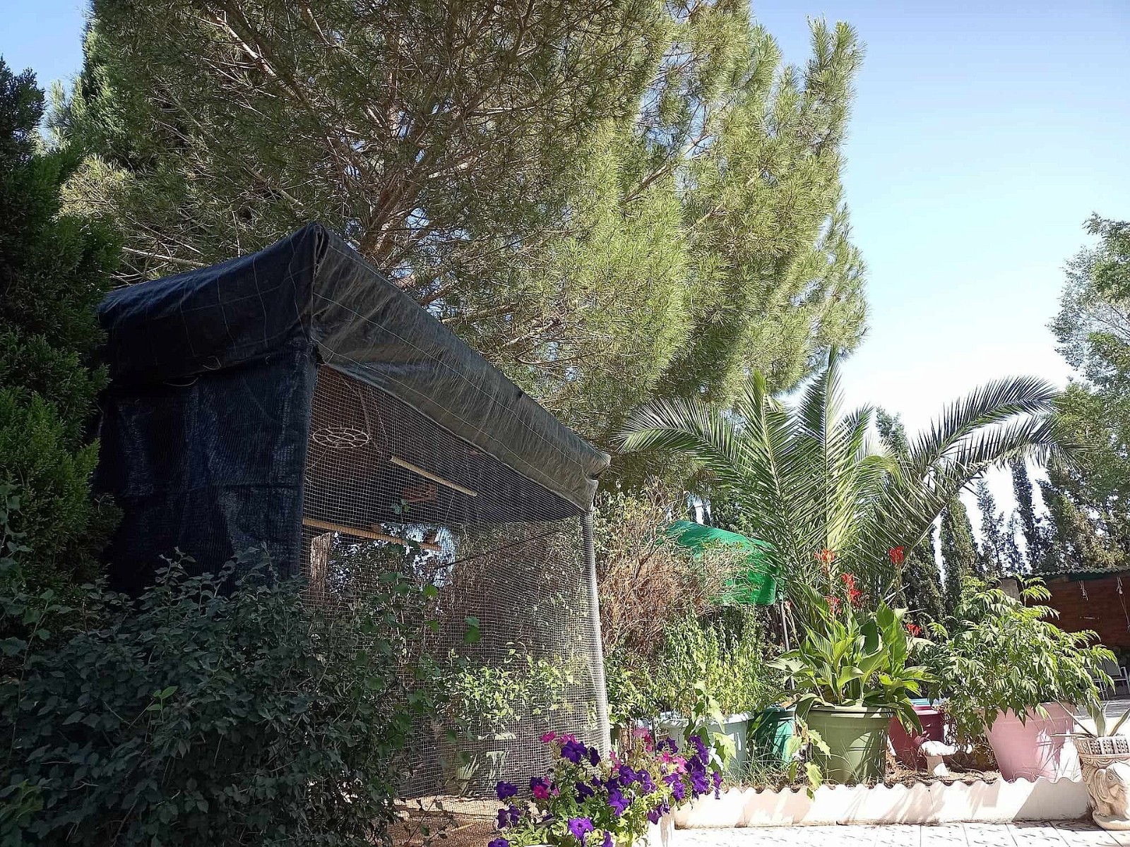 Villa, 5 Bedrooms, Sax, Expansive Plot with Pool and Olive Grove