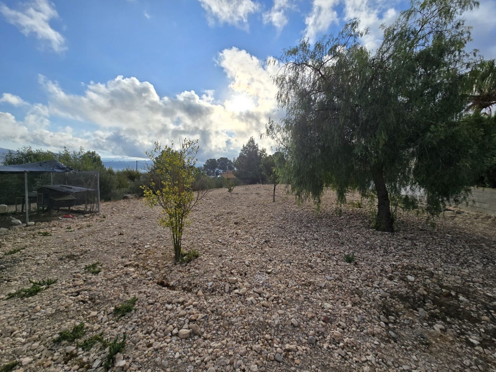 Villa with 5 Bedrooms and Pool in Sax, Alicante